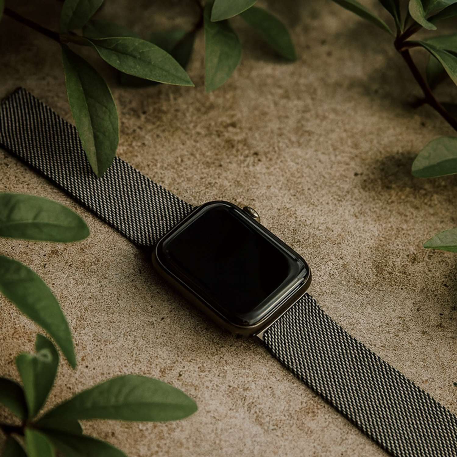 Apple-watch-milanese-band-space-gray-7440849274287-123watches-sfeer5