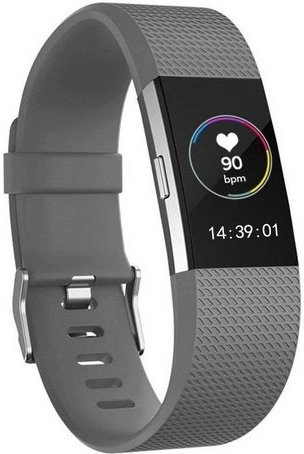 Fitbit Charge 2 sport band - grijs